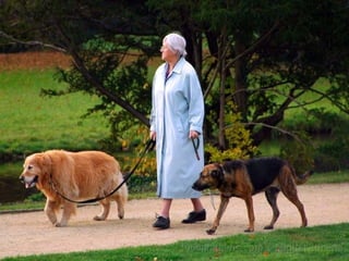 Apresentação por Renato Cardoso 