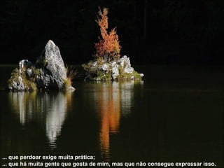 ... que perdoar exige muita prática; ... que há muita gente que gosta de mim, mas que não consegue expressar isso.   