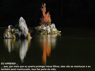 EU APRENDI  ... ... que, por mais que eu queira proteger meus filhos, eles vão se machucar e eu também serei machucado, isso faz parte da vida; 