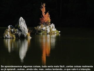 Se aprendessemos algumas coisas, tudo seria mais fácil...certas coisas realmente eu já aprendi...outras...ainda não, mas...estou tentando...o que vale é a intenção.  