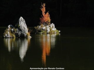 Apresentação por Renato Cardoso 