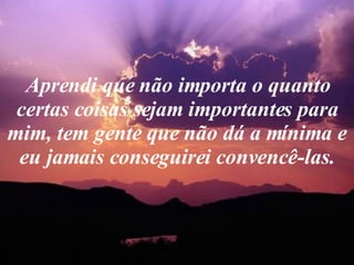 Aprendi que não importa o quanto certas coisas sejam importantes para mim, tem gente que não dá a mínima e eu jamais conseguirei convencê-las. 