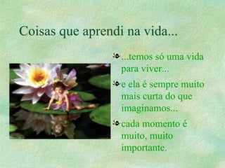 Coisas que aprendi na vida... ...temos só uma vida para viver...   e ela é sempre muito mais curta do que imaginamos...   cada momento é muito, muito importante. 