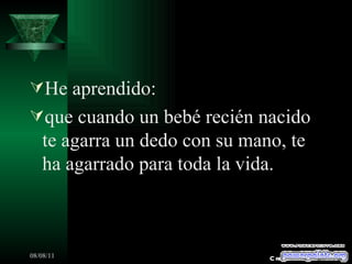 He aprendido: que cuando un bebé recién nacido te agarra un dedo con su mano, te ha agarrado para toda la vida. Creaciones SAMA 
