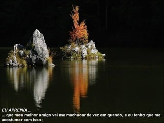 EU APRENDI  ... ... que meu melhor amigo vai me machucar de vez em quando, e eu tenho que me acostumar com isso; 