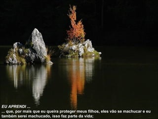 EU APRENDI  ... ... que, por mais que eu queira proteger meus filhos, eles vão se machucar e eu também serei machucado, isso faz parte da vida; 