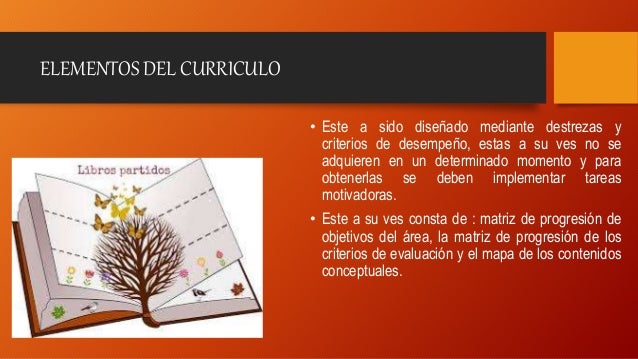 ELEMENTOS DEL CURRICULO
• Este a sido diseñado mediante destrezas y
criterios de desempeño, estas a su ves no se
adquieren...