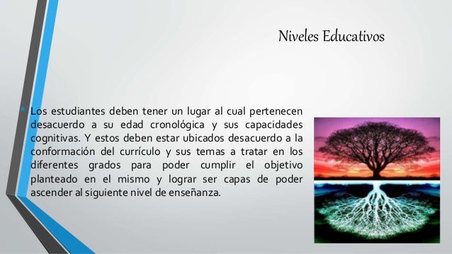 Niveles Educativos
• Los estudiantes deben tener un lugar al cual pertenecen
desacuerdo a su edad cronológica y sus capaci...
