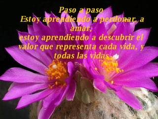 Paso a paso Estoy aprendiendo a perdonar, a amar, estoy aprendiendo a descubrir el valor que representa cada vida,  y  todas las vidas 