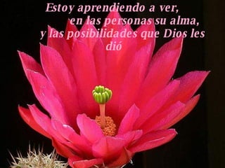 Estoy aprendiendo a ver,  en las personas su alma,  y las posibilidades que Dios les dió 