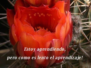 Estoy aprendiendo,  pero como es lento el aprendizaje!   