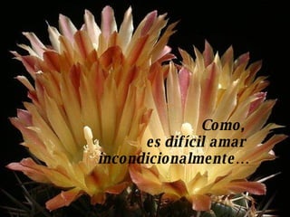 Como,  es difícil amar  incondicionalmente… 