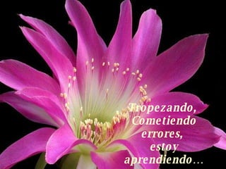 Tropezando,  Cometiendo errores,  estoy aprendiendo… 