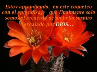 Estoy aprendiendo,  en este coqueteo con el aprendizaje  que finalmente solo somos el recuerdo de un bello suspiro exhalado por  DIOS … 