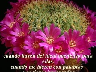 cuando huyen del ideal que tengo para ellas. cuando me hieren con palabras  o acciones impensadas 