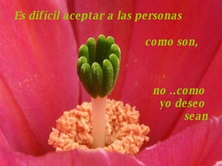 Es difícil aceptar a las personas como son, no ..como  yo deseo  sean 