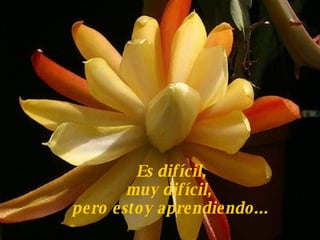 Es difícil,  muy difícil,  pero estoy aprendiendo...   