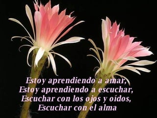 Estoy aprendiendo a amar,  Estoy aprendiendo a escuchar,  Escuchar con los ojos y oídos,  Escuchar con el alma 