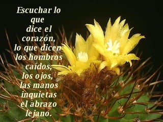 Escuchar lo que  dice el corazón, lo que dicen  los hombros caídos, los ojos,  las manos inquietas el abrazo lejano. 