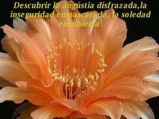 Descubrir la angústia disfrazada,la inseguridad enmascarada, la soledad encubierta   