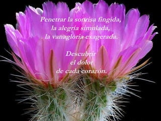 Penetrar la sonrisa fingida,  la alegría simulada,  la vanagloria exagerada. Descubrir  el dolor de cada corazón. 