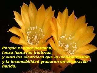 Porque el amor perdona,  lanza fuera las tristezas,  y cura las cicatrices que la incomprensión  y la insensibilidad grabaron en el corazón herido. 