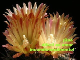 ¡Qué  difícil es amar  incondicionalmente! 
