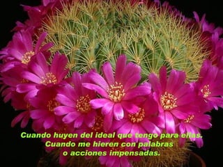 Cuando huyen del ideal que tengo para ellas. Cuando me hieren con palabras  o acciones impensadas. 