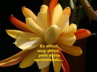 Es difícil,  muy difícil,  pero estoy aprendiendo...  