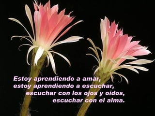 Estoy aprendiendo a amar,  estoy aprendiendo a escuchar,  escuchar con los ojos y oídos, escuchar con el alma. 