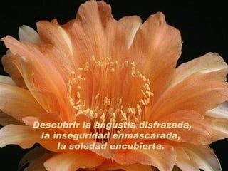 Descubrir la angustia disfrazada, la inseguridad enmascarada,  la soledad encubierta.  