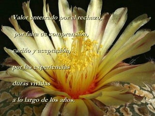 Valor enterrado por el rechazo,

por falta de comprensión,

cariño y aceptación,

por las experiencias

duras vividas

a lo largo de los años.
 A
 