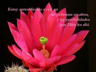 Estoy aprendiendo a ver, en
                      las personas su alma,
                           y las posibilidades
                             que Dios les dió.
 