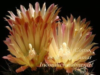 ¡Cómo,
   es de difícil amar
Incondicionalmente!
 