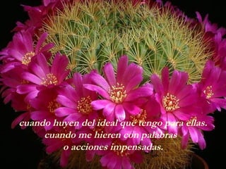 cuando huyen del ideal que tengo para ellas.
     cuando me hieren con palabras
         o acciones impensadas.
 