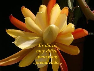 Es difícil,
 muy difícil,
  pero estoy
aprendiendo...
 