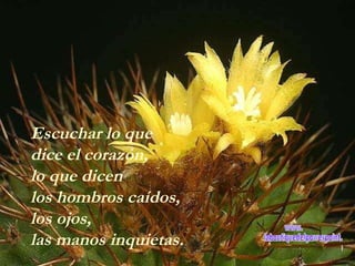 Escuchar lo que  dice el corazón, lo que dicen  los hombros caídos, los ojos,  las manos inquietas. www. laboutiquedelpowerpoint. com 