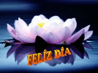 FELÍZ DÍA 