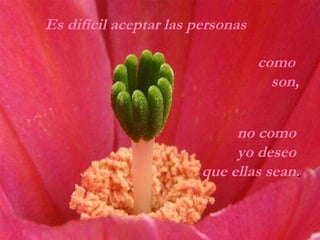 Es difícil aceptar las personas como  son, no como  yo deseo  que ellas sean . 