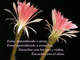 Estoy aprendiendo a amar,  Estoy aprendiendo a escuchar,  Escuchar con los ojos y oídos,  Escuchar con el alma. 