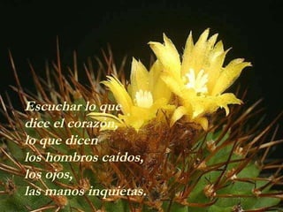 Escuchar lo que  dice el corazón, lo que dicen  los hombros caídos, los ojos,  las manos inquietas. 