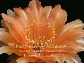 Descubrir la angustia disfrazada, la inseguridad enmascarada,  la soledad encubierta.  