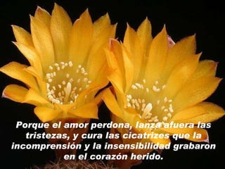 Porque el amor perdona, lanza afuera las tristezas, y cura las cicatrizes que la incomprensión y la insensibilidad grabaron en el corazón herido. 
