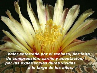 A Valor enterrado por el rechazo, por falta de comprensión, cariño y aceptación,  por las experiencias duras v ividas  a lo largo de los años. 