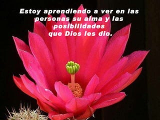 Estoy aprendiendo a ver en las personas su alma y las posibilidades que Dios les dio. 