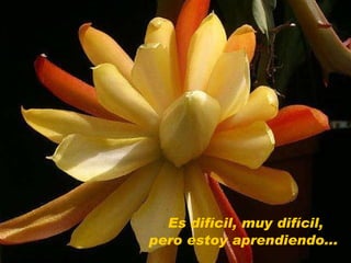 Es difícil, muy difícil,  pero estoy aprendiendo...  