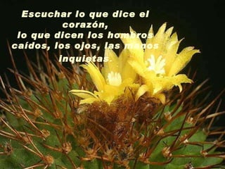 Escuchar lo que dice el corazón, lo que dicen los hombros caídos, los ojos, las manos inquietas . 