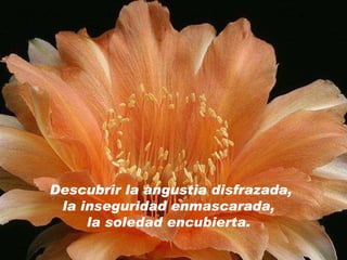 Descubrir la angustia disfrazada, la inseguridad enmascarada,  la soledad encubierta.  