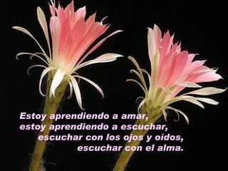 Aprendiendo a amar