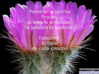 Penetrar la sonrisa
        fingida,
 la alegria simulada,
la palabra exagerada.

     Descubrir
      el dolor
  de cada corazón
 